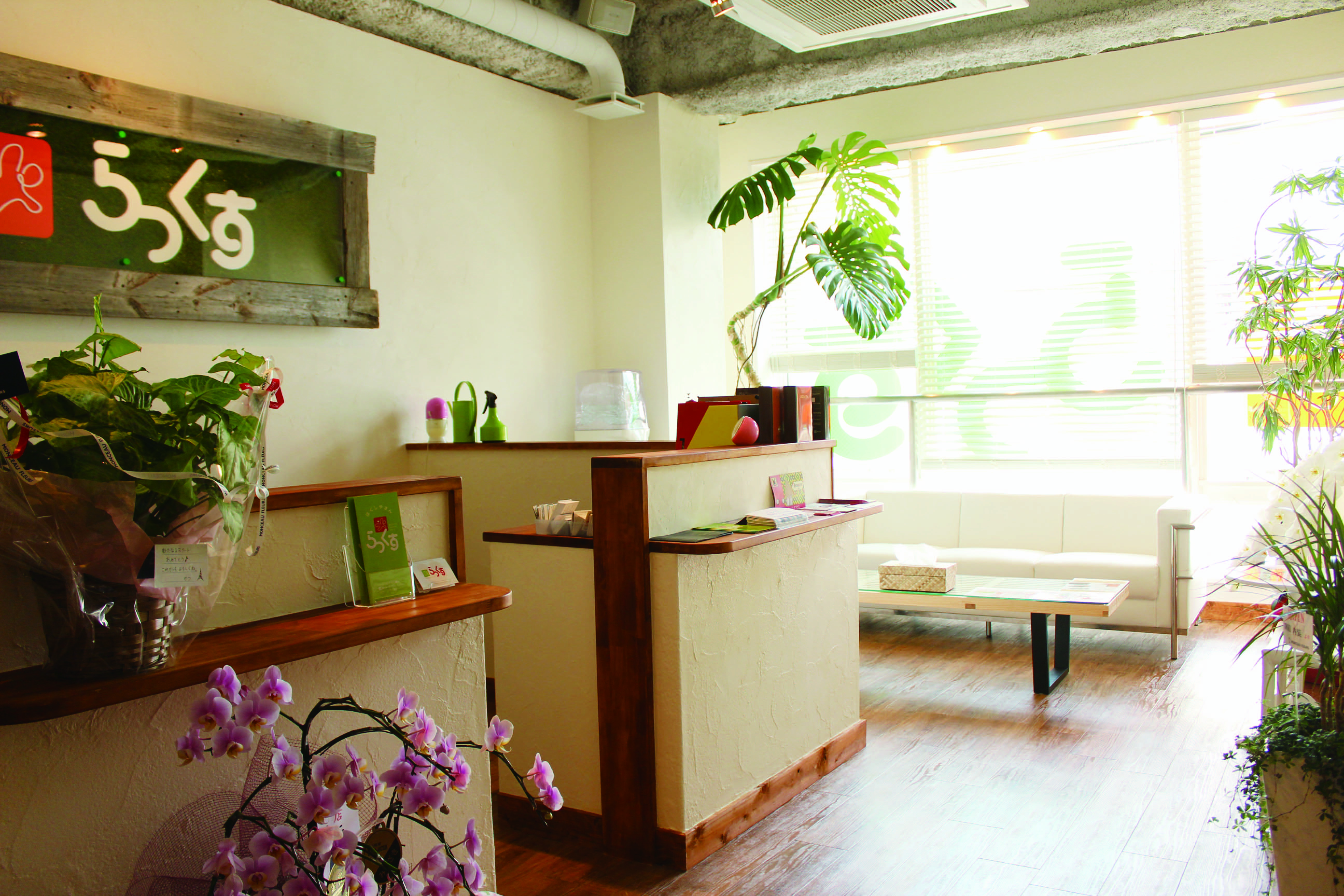 NSP コンサル コンテンツ 写真３